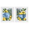 Stupell Industries Indigo & Lemon Citrus Fruits 2pc Framed Print Under Glass Set, design by Melissa Wang